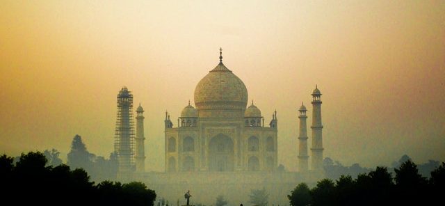 pexels-vishnudeep-dixit-1260801 (1)